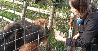clarissa pet sitter à BOULOGNE BILLANCOURT 92100_1