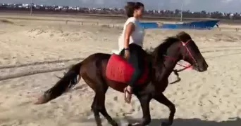 diane pet sitter à Cergy 95800