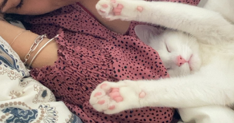 corentin pet sitter à CAEN 14000_1