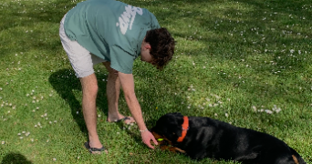 killian pet sitter à CHALLANS 85300_1