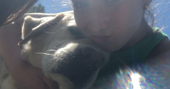 luna pet sitter à PESSAC 33600_4