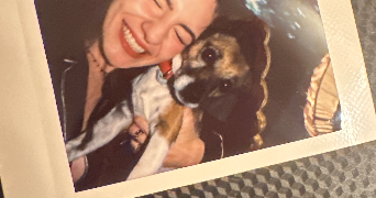 fairouz pet sitter à THIAIS 94320_1
