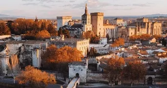 nassima pet sitter à AVIGNON 84000