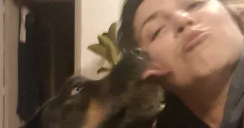 silvi pet sitter à BIGUGLIA 20620