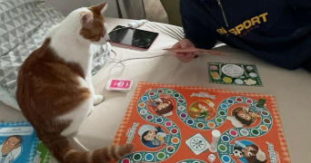 sofia pet sitter à LILLE 59000_2