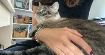 eléna pet sitter à CARBON BLANC 33560_1