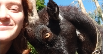 lila pet sitter à PLUMELEC 56420_8