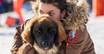 margaux pet sitter à ANNECY 74000_1