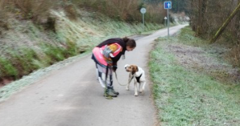 samm pet sitter à STRASBOURG 67000_1