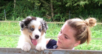lorein pet sitter à ST HERBLAIN 44800_1