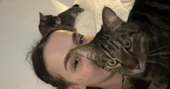 ambre pet sitter à AMBARES ET LAGRAVE 33440_1