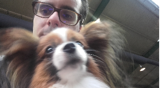thomas pet sitter à EVREUX 27000_0