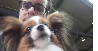 thomas pet sitter à EVREUX 27000