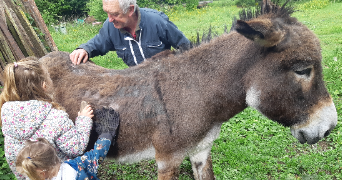 justine pet sitter à DUNKERQUE 59240_3