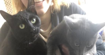 lisa pet sitter à ROSNY SOUS BOIS 93110_1