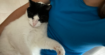 lucie pet sitter à AIX EN PROVENCE 13100_3