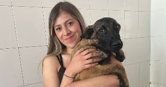 laura dog sitter à BORDEAUX 33000_3