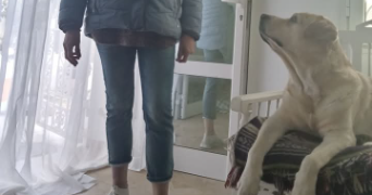 corinne pet sitter à CALAIS 62100_3