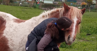 sabine pet sitter à CALAIS 62100_2