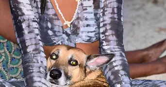 erica pet sitter à CARPENTRAS 84200