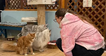 anthea pet sitter à BORDEAUX 33000