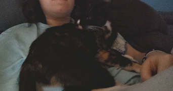 sarah pet sitter à CHASSENEUIL DU POITOU 86360_1