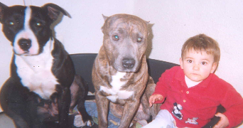 melissa pet sitter à TORCY 77200_4