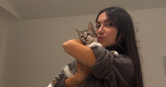 tessa pet sitter à ST JEAN DE VEDAS 34430_1