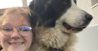 romane pet sitter à Sorbiers 42290_6