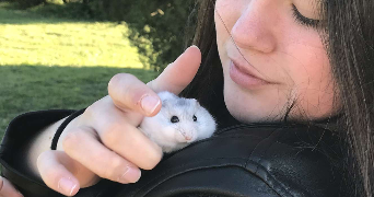 marilou pet sitter à ST GEORGES LES BAILLARGEAUX 86130_1
