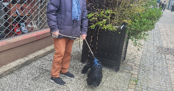 rené et martine  pet sitter à QUIMPER 29000_4