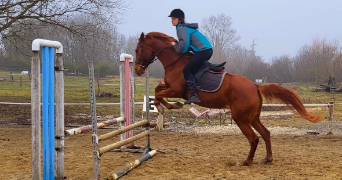emma pet sitter à TOULOUSE 31300_3