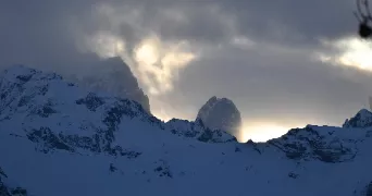 valentine pet sitter à ARENTHON 74800