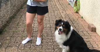 solene pet sitter à Bourg-en-Bresse 01000_1