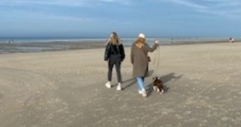 victoria pet sitter à LILLE 59000_0