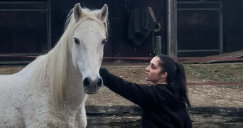 leyla pet sitter à SARRALBE 57430_0