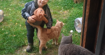 sharlène pet sitter à VAUDEVANT 07410_1