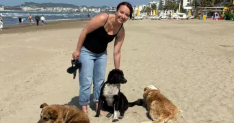 laura pet sitter à LAUTERBOURG 67630