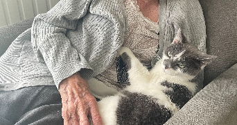 anne-sophie pet sitter à ACIGNE 35690_3