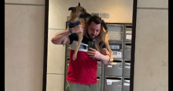 stanislas pet sitter à ATHIS MONS 91200_3