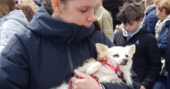 jade pet sitter à LUCCIANA 20290_2
