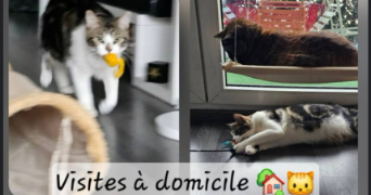 laurette pet sitter à PAU 64000_9