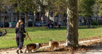 catherine pet sitter à PARIS 07 75007_1