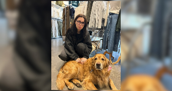 morgane pet sitter à PARIS 17 75017_7