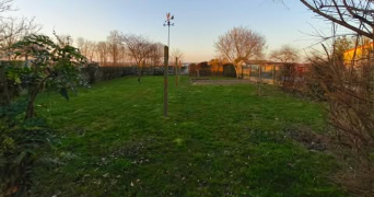 morgane pet sitter à MAUGES SUR LOIRE 49410_2