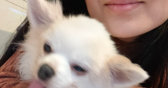 diana pet sitter à Villeurbanne 69100_5