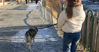 laura pet sitter à St Victoret 13730_3