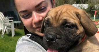 loïse pet sitter à GREASQUE 13850_0