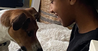 maudesty pet sitter à PONTAULT COMBAULT 77340_1