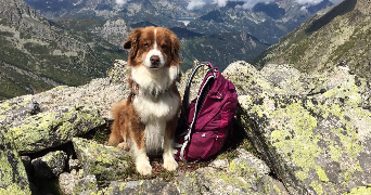 coraline pet sitter à BRON 69500_6